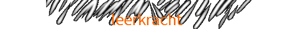 leerkracht