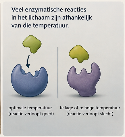 BioQuest afbeelding