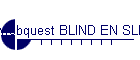 webquest BLIND EN SLECHTZIEND - titel