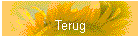 Terug