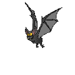 img4.gif