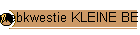 webkwestie KLEINE BEESTJES - menu