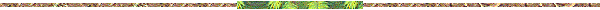 BD10256_